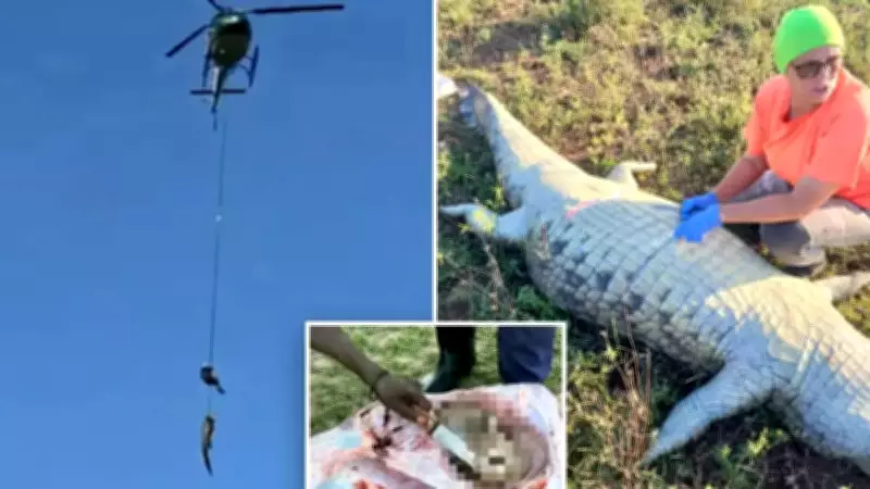 Businessman's Remains Found Inside Crocodile in South Africa