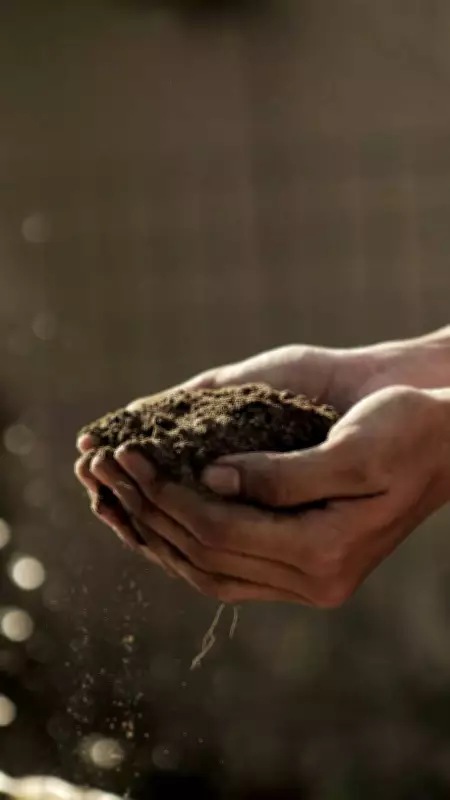 Buxar Agriculture Dept Targets 3,090 Soil Tests for 2026-27