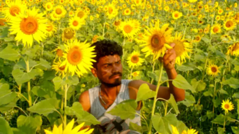 Cabinet Approves Higher MSP for 14 Kharif Crops for 2026-27