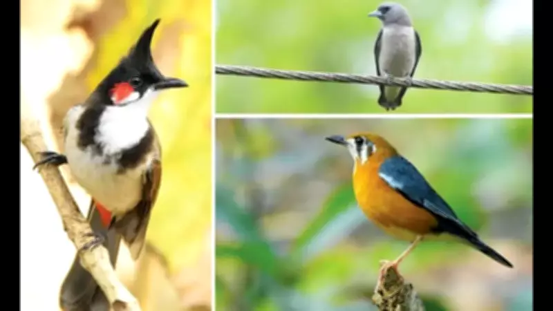 Campus Bird Count 2026 Sees Record Participation from 395 Campuses Globally