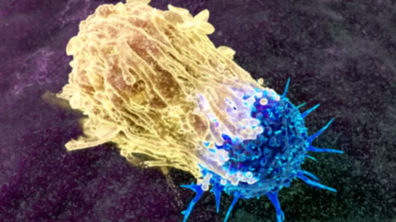 Cancer's 'Pre-Diagnosis Phase': When Symptoms Exist but Answers Don't