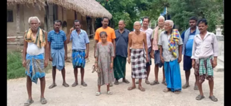 Cattle Deaths in Kendrapada Due to Rumen Flukes Disease, Officials Say