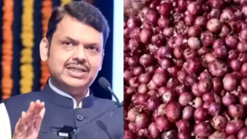 Centre allows NCCF, NAFED to buy onions directly from farmers: Fadnavis