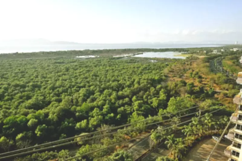 Centre Asks Maharashtra to Probe Mangrove Diversion for Versova-Bhayander Coastal Road