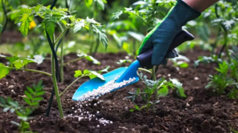Centre Assures Sufficient Fertiliser Stocks for Kharif, Warns Against Panic Buying
