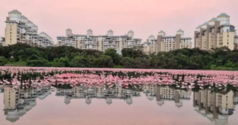 Centre Backs Flamingo Blue Carbon Urban Complex in Mumbai Region