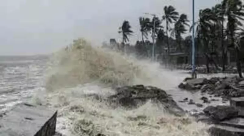 Centre Denies Receiving Tamil Nadu's Cyclone Ditwah Aid Request