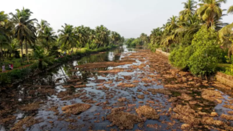 Centuries-old fish catching ritual in Karnataka's Nandini River hit by pollution