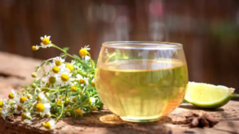 Chamomile Tea: Science-Backed Comfort for High-Stress Urban Lives