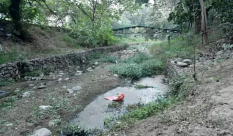 Chandigarh Mayor Urges Immediate Desilting of N-Choe and Patiala Ki Rao