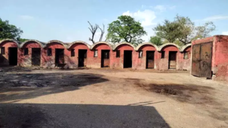 Chandigarh MC Approves Rs 48.8 Crore Modern Abattoir Project