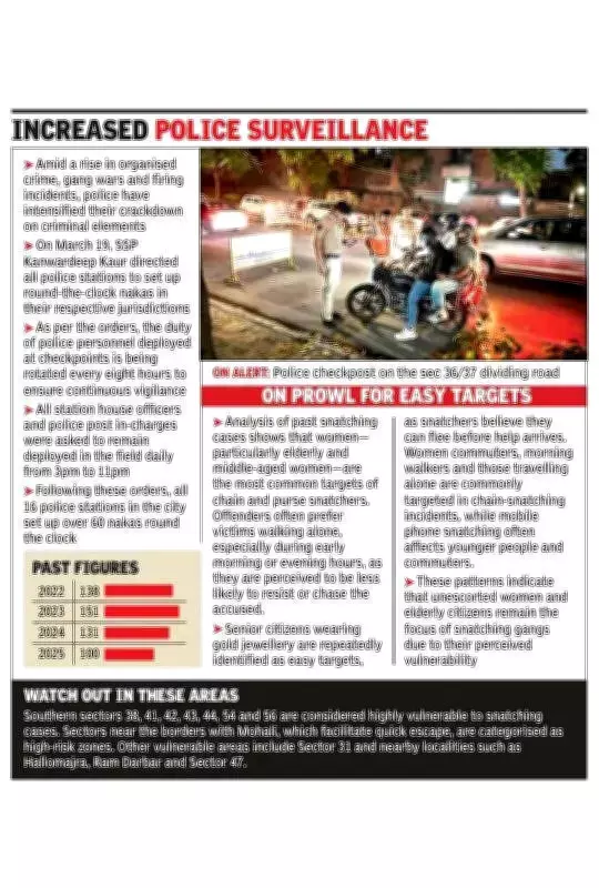 Chandigarh Snatching Cases Drop but Fear Persists; Police Step Up Nakas