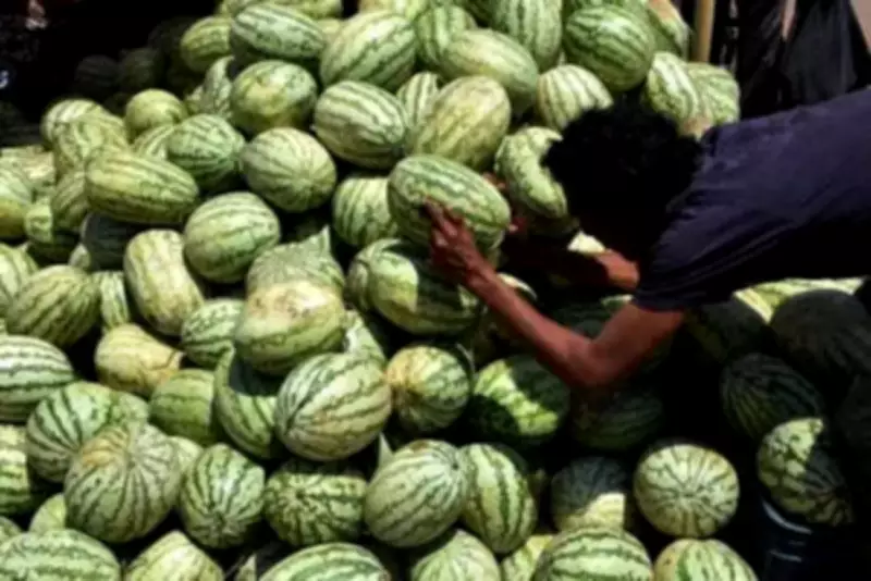 Chandigarh Watermelon Illness Probe: Initial Tests Negative, Alert Continues
