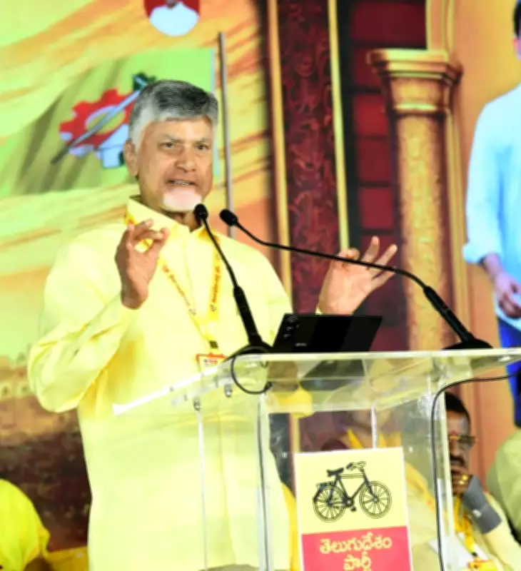 Chandrababu Naidu urges TDP to prepare for local body polls with unity