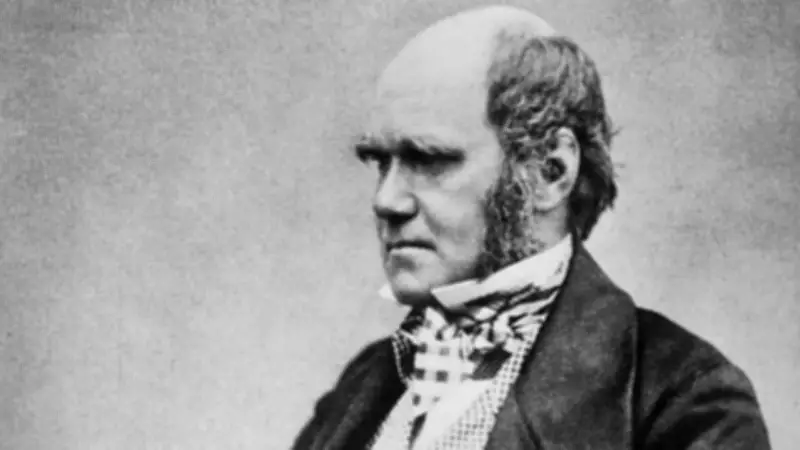 Charles Darwin's Regret: A Lesson on Balance and the Joy of Poetry and Music