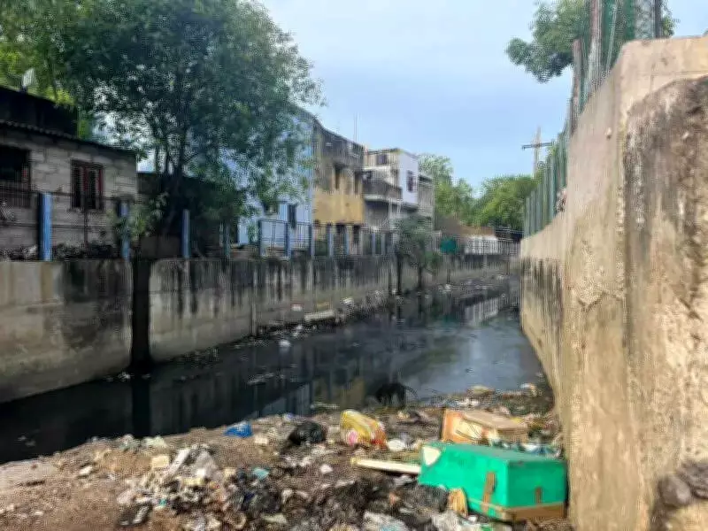 Chennai Canal Pollution Continues Six Months After NGT Notice