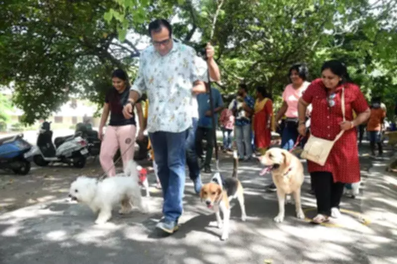Chennai Pet License Deadline Extended to June 15, Penalty of 5,000 From June 16