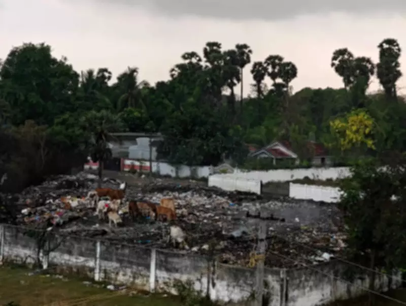 Chennai Residents Allege Panchayat Burns Garbage, Causing Health Issues