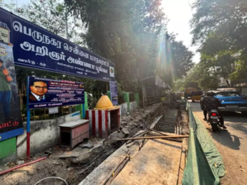 Chennai's Robinson Park in Shambles Due to Digging, Mosquito Menace