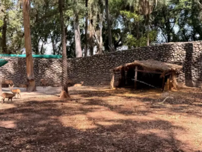 Chhatbir Zoo Implements Extensive Measures to Protect Animals from Summer Heat