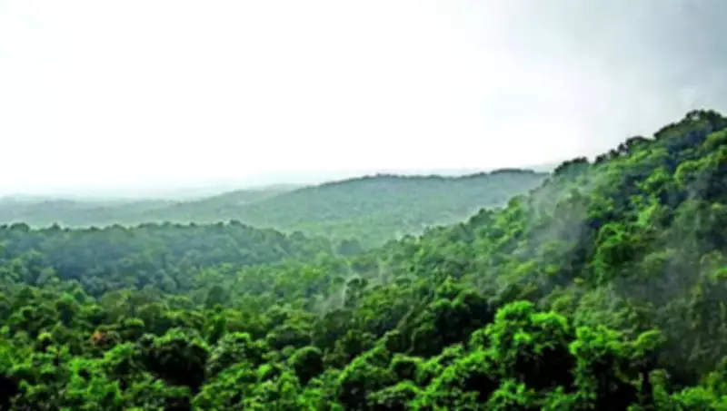 Chikkamagaluru District Preps for Monsoon: DC Issues Directives