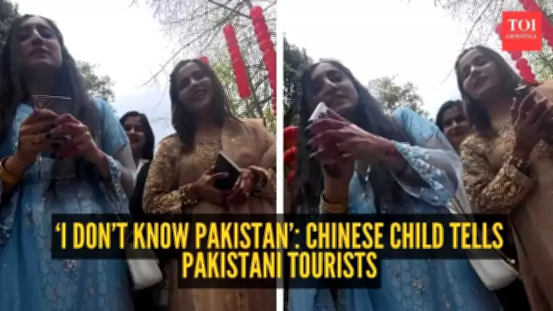 Chinese Child's Innocent Reply to Pakistani Tourists Sparks Online Debate