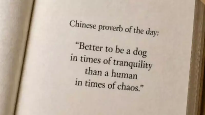 Chinese Proverb: Better to Be a Dog in Peace Than Human in Chaos