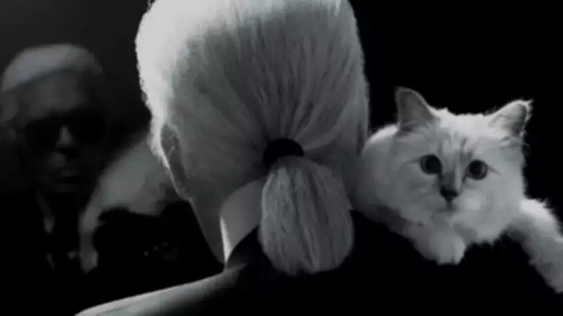 Choupette the Cat: From Karl Lagerfeld's Pet to a Symbol of Wealth Inequality
