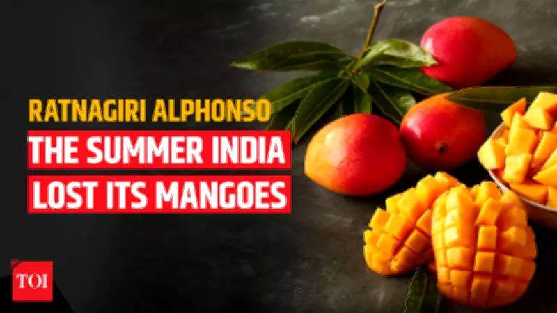 Climate Change and Global Conflict Threaten India's Alphonso Mango Harvest