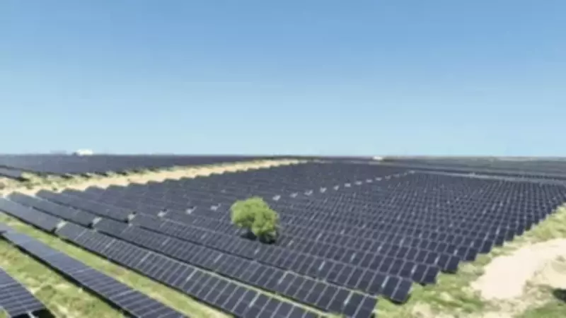 Coal India Assures Ample Stock Amid Summer Power Demand Surge