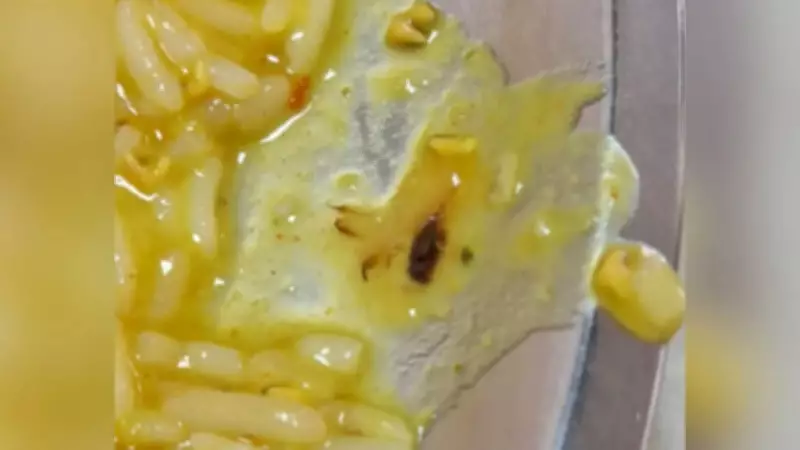 Cockroach Found in Dal at Delhi Hospital Doctors' Mess, Inquiry Ordered