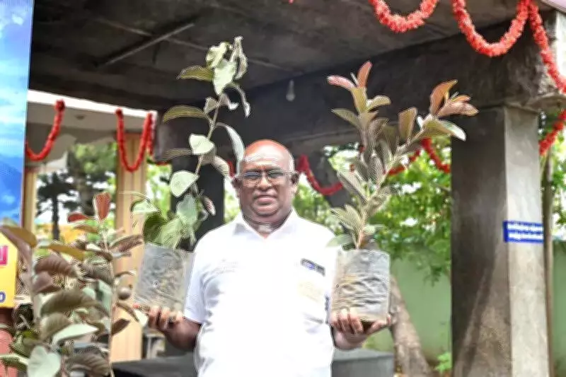 Coimbatore Crematorium Gives Saplings to Bereaved Families for Healing