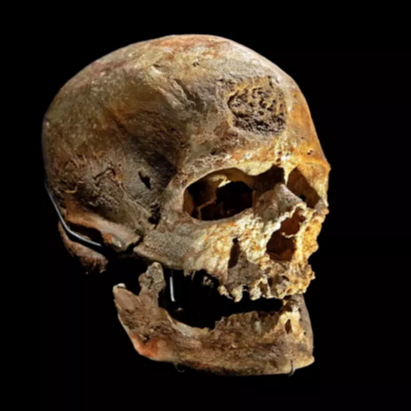 Cro-Magnon Discovery: How 1868 Cave Find Reshaped Human Evolution