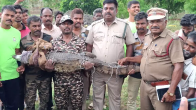 Crocodile Rescued from Agricultural Well in Dharmapuri District