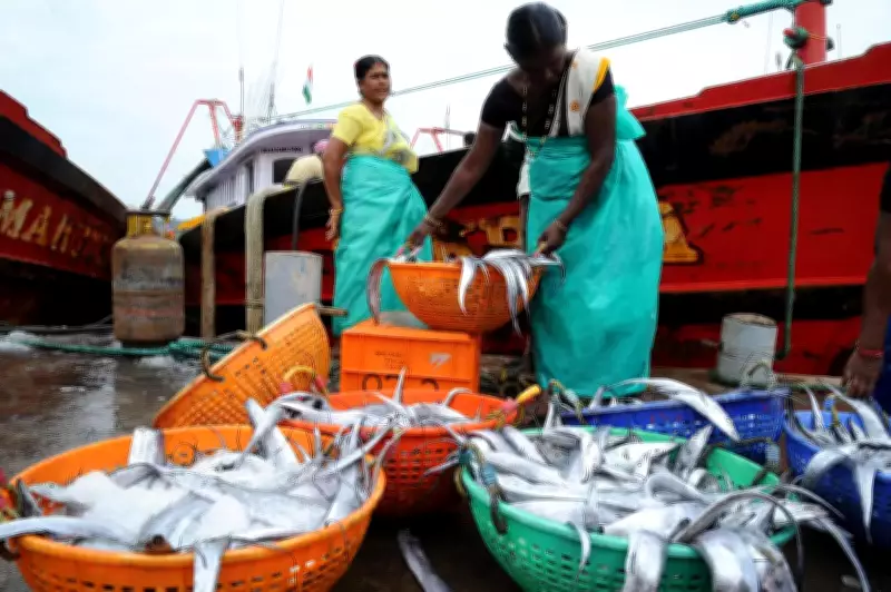 Dakshina Kannada fish catch rises to 1,97,381 tonnes in FY26