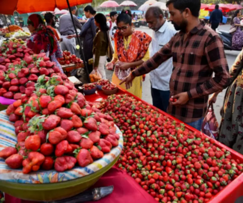 Dang District in Gujarat Emerges as Leading Strawberry Producer with Natural Farming