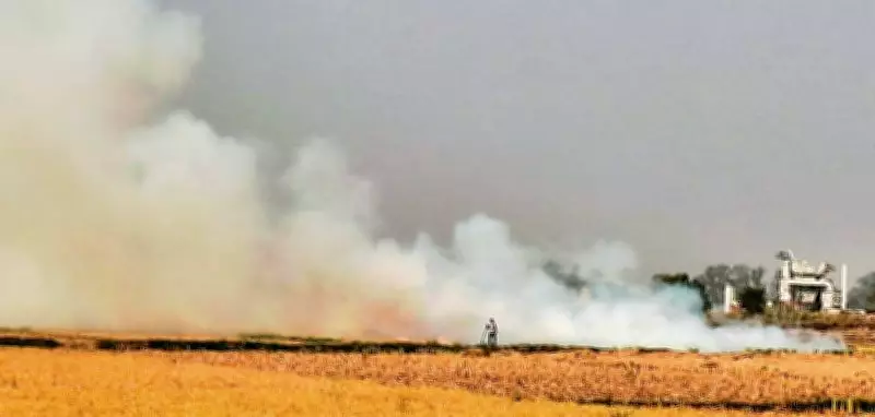 DC and SSP Visit Nadala Begowal, Urge Farmers to Avoid Stubble Burning
