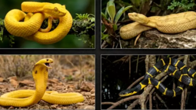 Deadly Beauty: Why Yellow Snakes Are Among the Most Venomous