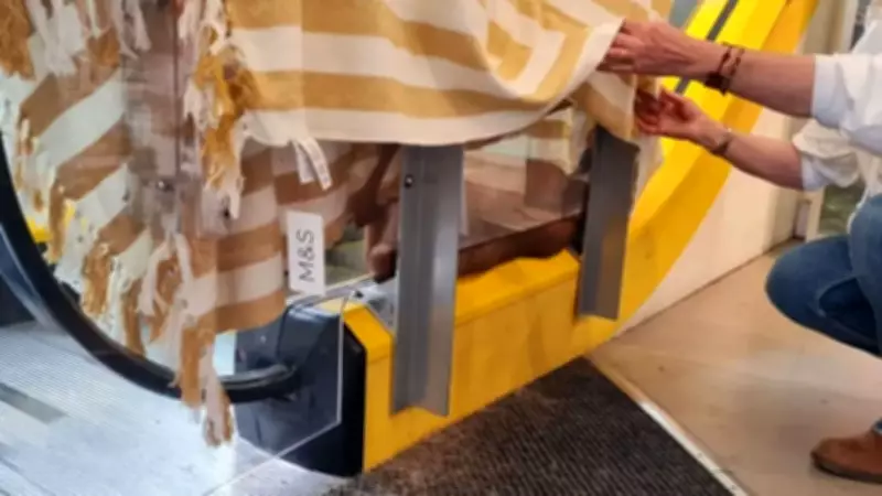 Deer Trapped on Escalator at Marks & Spencer Sparks Rescue and Online Puns