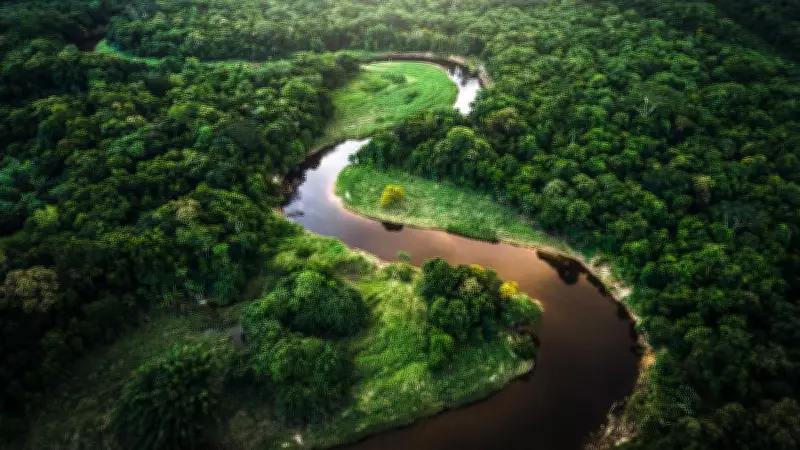 Deforestation Lowers Amazon Degradation Threshold Below 2°C Warming: Report