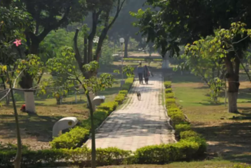 Delhi Govt Plans Major Increase in Funding for Parks and Green Spaces