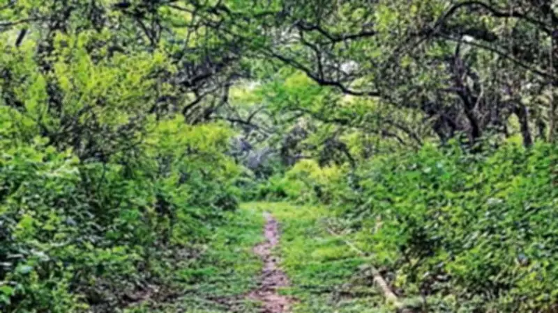 Delhi Grants Reserved Forest Status to Central Ridge After 30-Year Wait