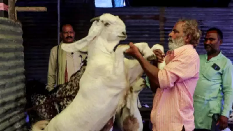 Delhi Minister Kapil Mishra Orders Strict Animal Welfare Enforcement Ahead of Bakrid