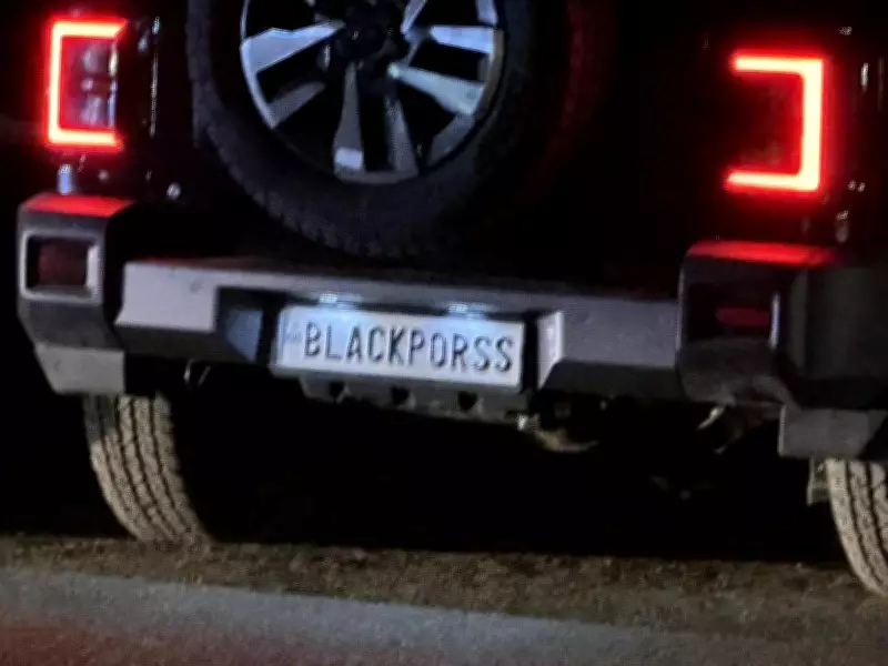 Delhi sees surge in fancy, blank number plates despite police crackdown