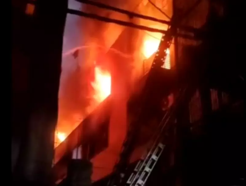 Delhi Shahdara Fire: 9 Killed in Early Morning Blaze at Residential Building