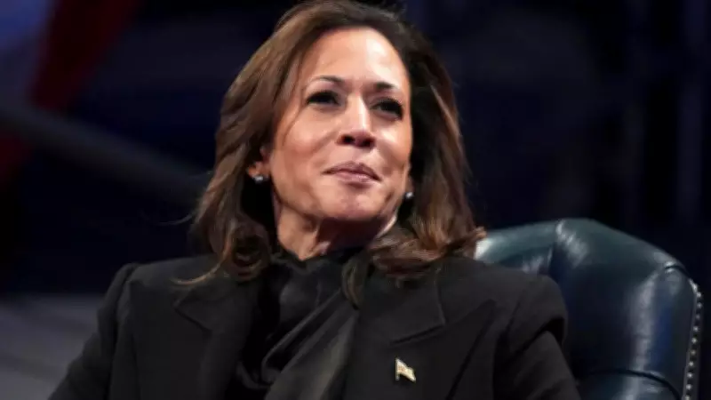 Democratic Party's 2024 Election Autopsy Reveals Deep Divisions and Missed Lessons