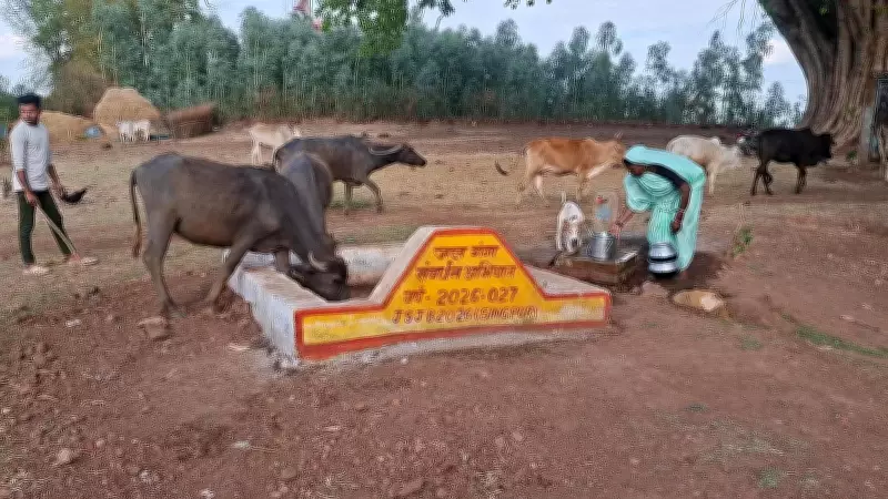 Dindori District Becomes National Model for Water Conservation