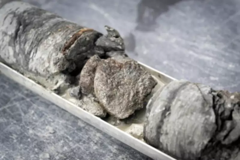 Dinosaur Fossil Discovered 763 Feet Below Denver Museum Parking Lot
