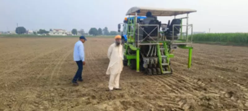 Direct Seeded Rice Sowing Saves Water, Cuts Labour Costs in Haryana