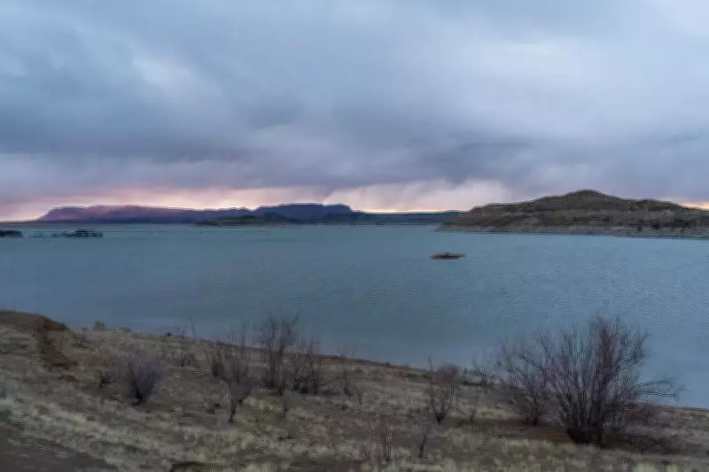 Discovering the Hidden Snake Havens of the American Southwest